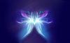 Light-Spirit-Widescreen-Wallpaper.jpg