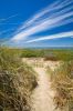 2753115-chemin-de-sable-dans-les-dunes-en-bord-de-mer.jpg