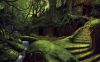 Filename=Eniod_ruines_village_forestier.jpg
Filesize=133KB
Dimensions=600x375
Date added=Jul 22, 2015 Eniod_ruines_village_forestier.jpg