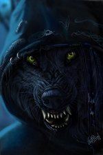 Avatar de l’utilisateur
